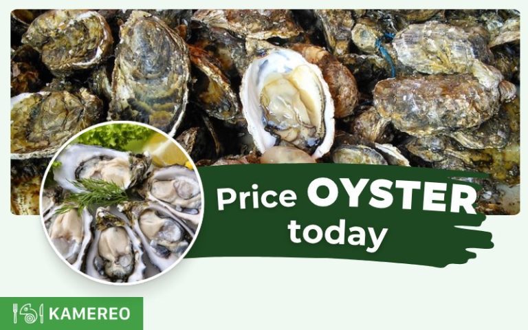 How Much is 1kg of Oysters? Latest Oyster Prices