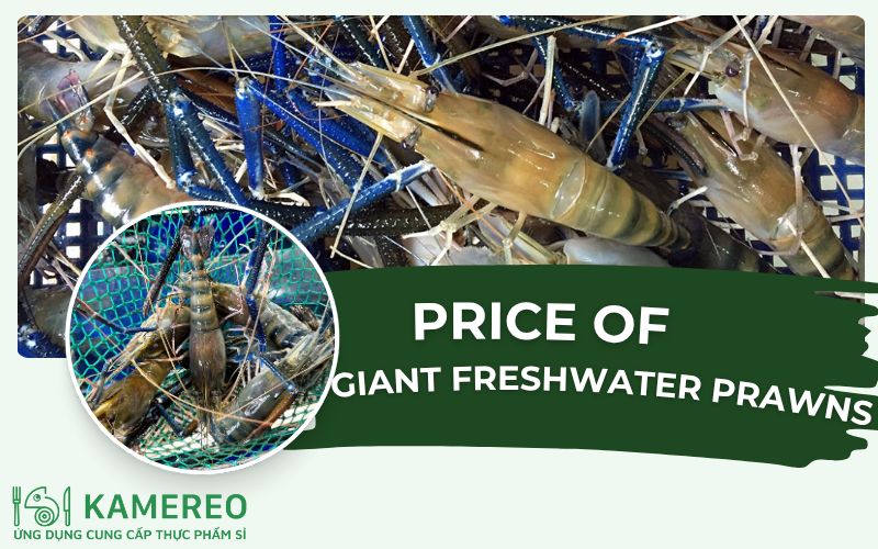 How much does giant freshwater prawn cost per kilogram? Updated prices of giant freshwater prawns