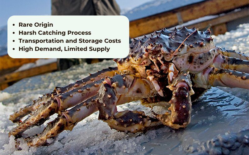 King crab prices are relatively high due to its rare origin and high nutritional value