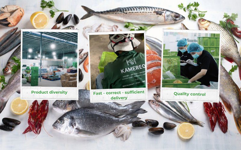 Kamereo is a wholesale partner providing many types of quality fish for F&B businesses