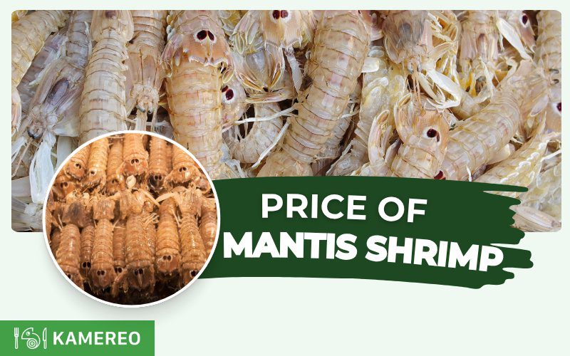 Price update for mantis shrimp today