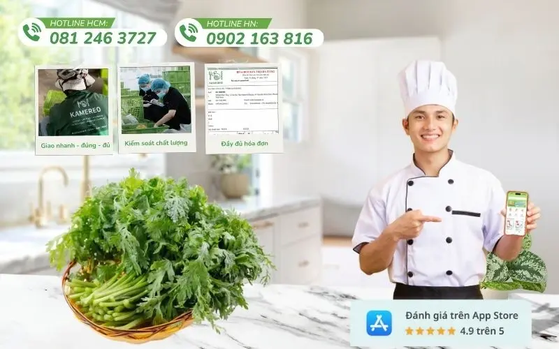 Kamereo cung cấp nguồn cải cúc tươi ngon, đảm bảo an toàn và chất lượng đồng đều