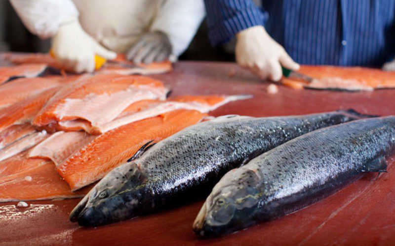 Salmon Prices Depend on Various Factors