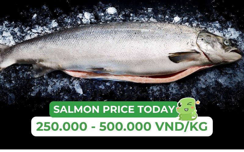 Salmon Prices Range from 250,000 to 500,000 VND/kg