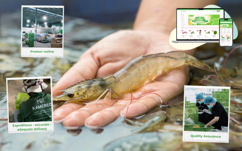 Kamereo – A place to provide quality, fresh, and reasonably priced shrimp