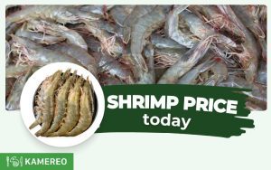 How Much is Whiteleg Shrimp Today? Updated Market Prices