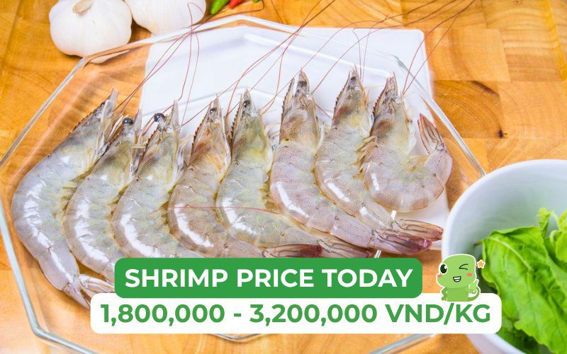 Shrimp prices range from 120,000 to 1,500,000 VND/kg