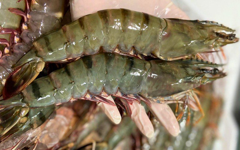These steps to pick the freshest shrimp
