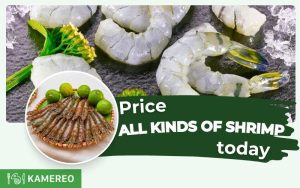 How Much is Shrimp per Kg? Updated Prices Today