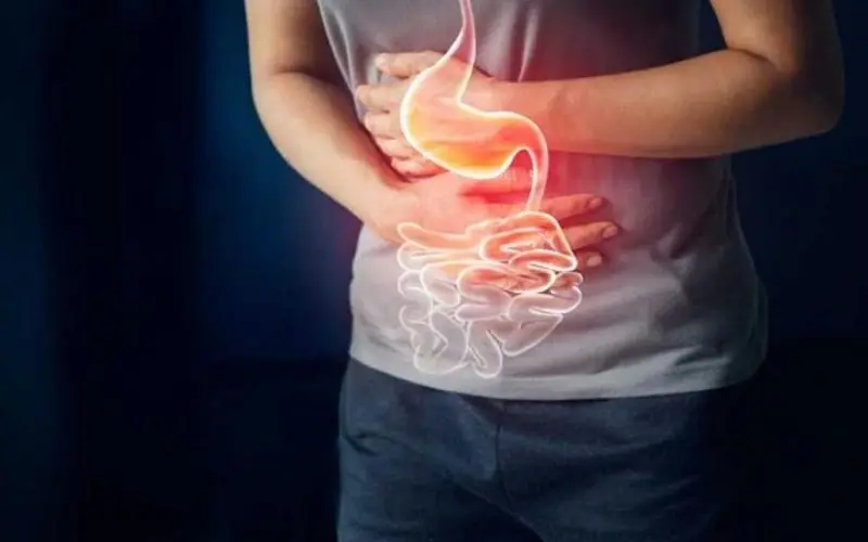 Frequent snacking makes the digestive system function poorly and prone to disorders