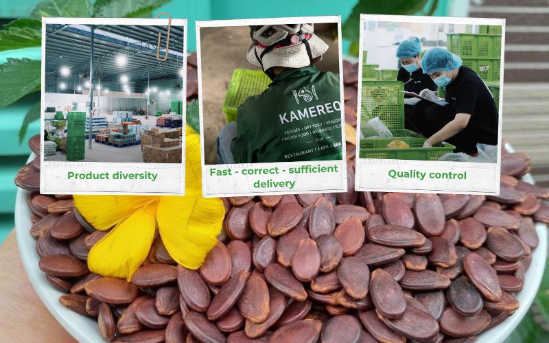 Kamereo is the trusted supplier of watermelon seeds at competitive prices for F&B businesses