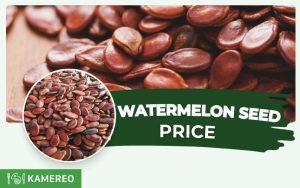 How much do watermelon seeds cost per kilogram? Lunar New Year watermelon seed prices today