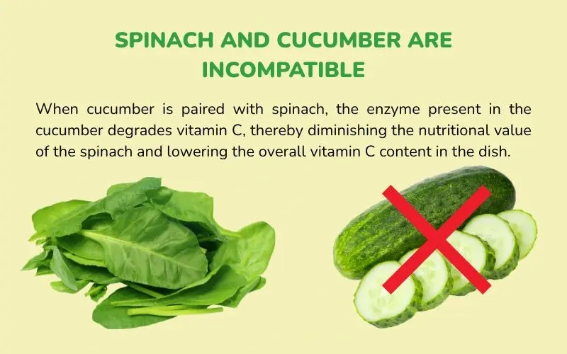 Cucumbers reduce the amount of vitamin C in spinach when eaten together