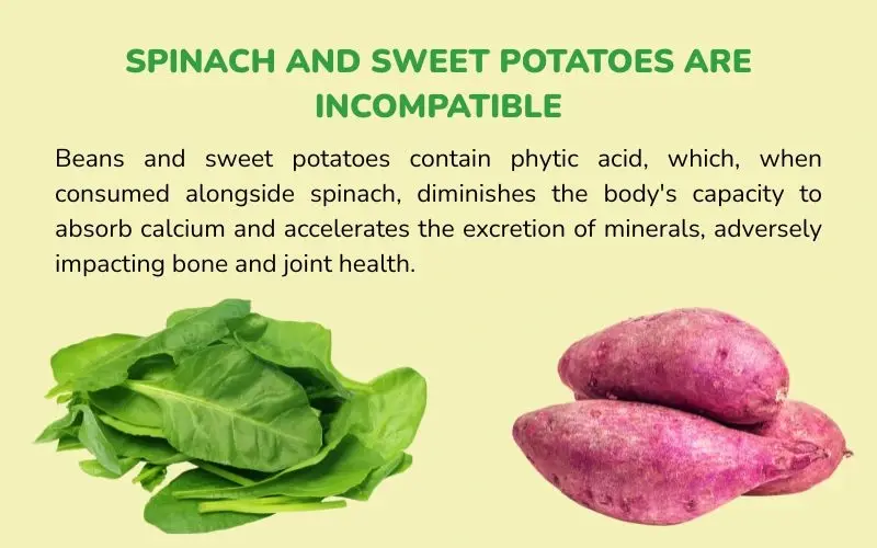 Phytic acid in beans, sweet potatoes, and spinach can reduce calcium absorption