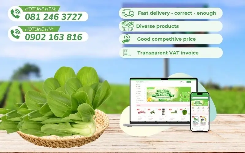 Kamereo specializes in supplying fresh, clean food to F&B businesses