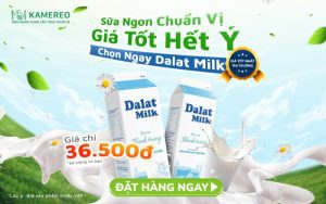 Sữa Tươi Thanh Trùng Dalat Milk 950ml giá tốt chỉ từ 36.500 đồng