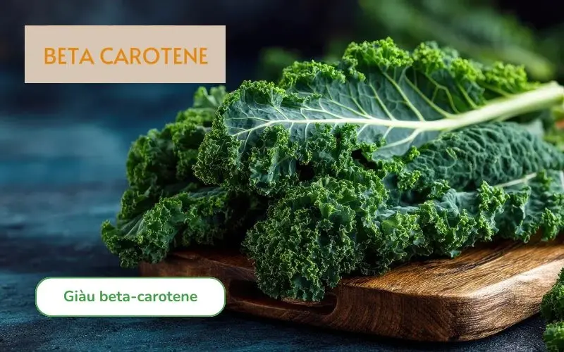 Cải xoăn giàu beta-carotene, tiền chất của vitamin A, tốt cho da và mắt