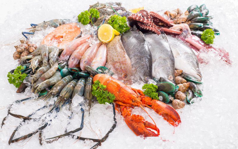 Hải Nam Food cung cấp đa dạng các loại cá, tôm, sò các loại