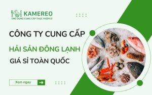 Công ty cung cấp hải sản đông lạnh giá sỉ toàn quốc