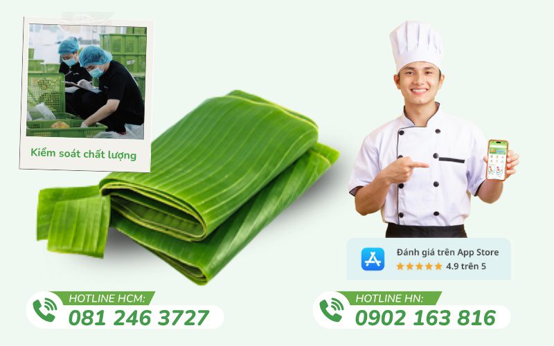 Kamereo là địa chỉ cung cấp lá chuối tươi uy tín
