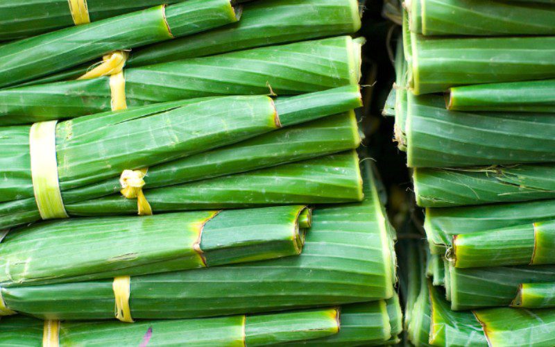 Lá Chuối Xuất Khẩu là đơn vị chuyên cung cấp lá chuối trong và ngoài nước