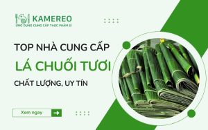 Nhà cung cấp lá chuối tươi chất lượng, uy tín