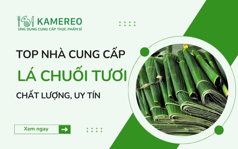 Nhà cung cấp lá chuối tươi chất lượng, uy tín