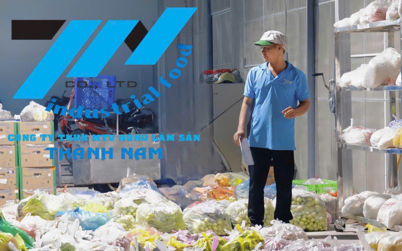 Thành Nam Food chuyên cung cấp rau củ sạch số lượng lớn cho các bếp ăn, siêu thị,...