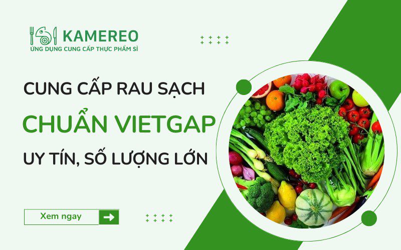 Nhà cung cấp rau sạch VietGAP chất lượng cho doanh nghiệp