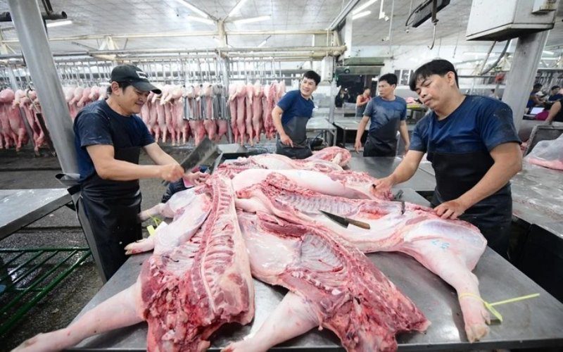 VIFOODS – điểm cung cấp thịt heo tươi đảm bảo nguồn gốc