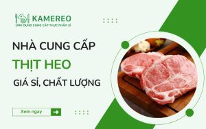 Nhà cung cấp thịt heo giá sỉ uy tín trên thị trường