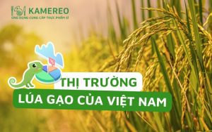 Tình hình thị trường gạo của Việt Nam trong thời gian qua