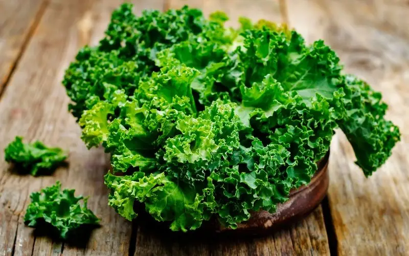 Kale is always among the top vegetables recommended by experts