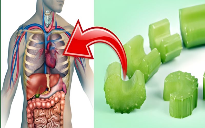 Nước ép cần tây hỗ trợ phòng ngừa ung thư