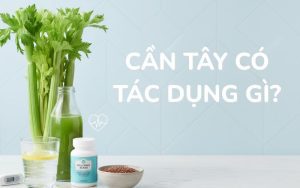 Cần tây có tác dụng gì? Lợi ích và lưu ý khi khi ăn rau cần tây