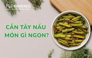 Kamereo nguồn cung cấp cần tây chất lượng, giá tốt cho doanh nghiệp