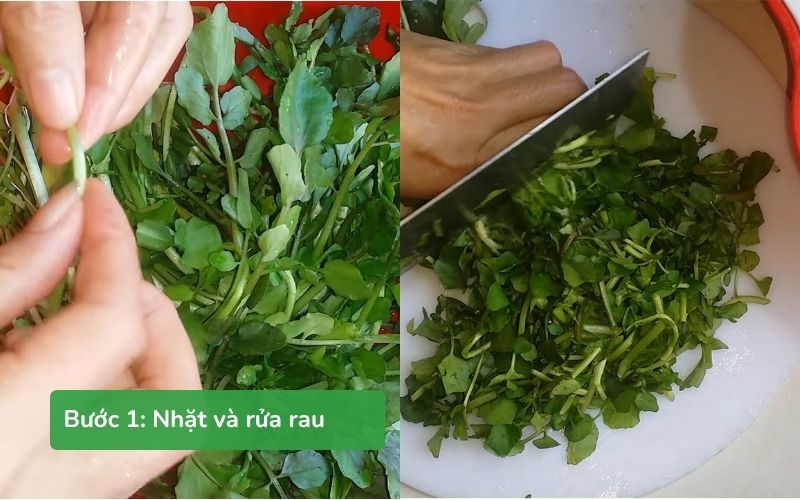 Nhặt và rửa sạch rau xà lách xoong