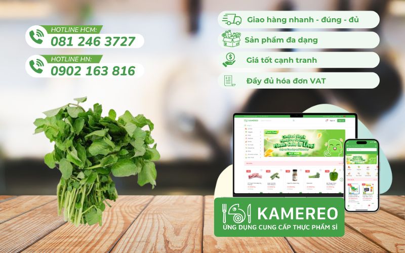 Kamereo - Nhà cung cấp rau xà lách xoong tươi ngon, giá tốt