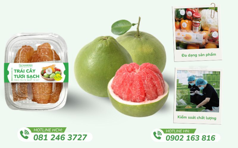 Kamereo chuyên cung cấp bưởi da xanh đạt chuẩn VietGap