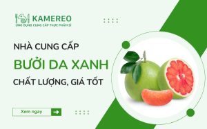 Địa chỉ chuyên cung cấp bưởi da xanh chất lượng, giá tốt