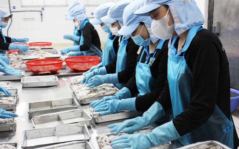 24h Seafood nhận gia công bạch tuộc theo đơn đặt hàng