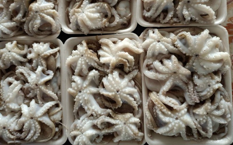 Bạch tuộc đông lạnh chuẩn, lựa chọn an tâm tại Nguyên Hà Food