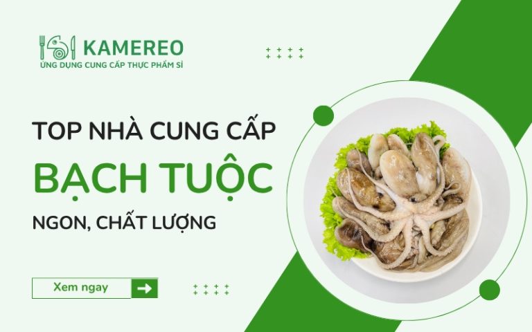 Địa chỉ cung cấp bạch tuộc ngon, chất lượng