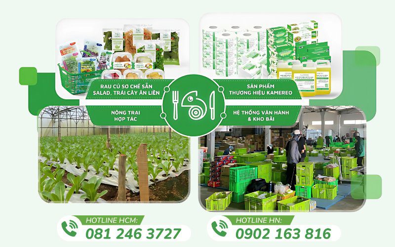 Kamereo là nền tảng cung cấp ly giấy HCM uy tín