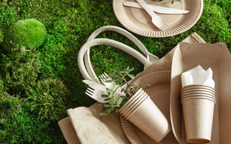 Bao bì Xanh có đa dạng sản phẩm và hỗ trợ in ấn thương hiệu