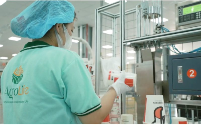 NEW STAR PAPER có khả năng cung cấp ly giấy với số lượng lớn