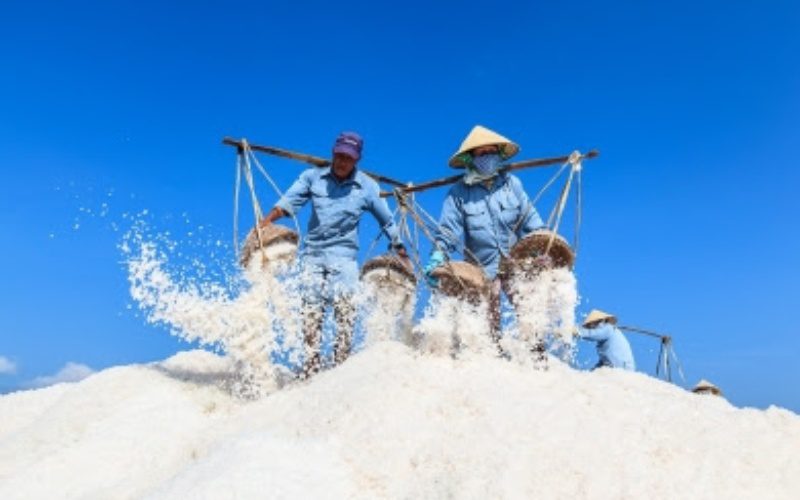Thái Long Vina chuyên cung cấp muối các loại cho thị trường trong và ngoài nước