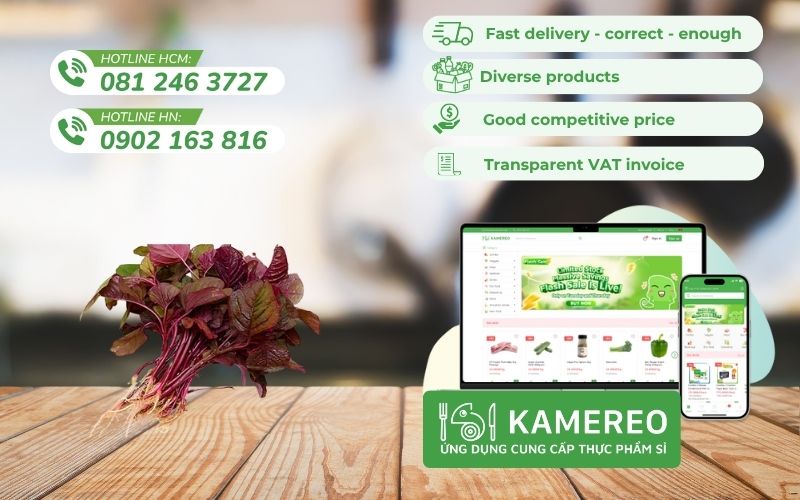 Buy amaranth at wholesale prices, with full invoices for F&B businesses at Kamereo