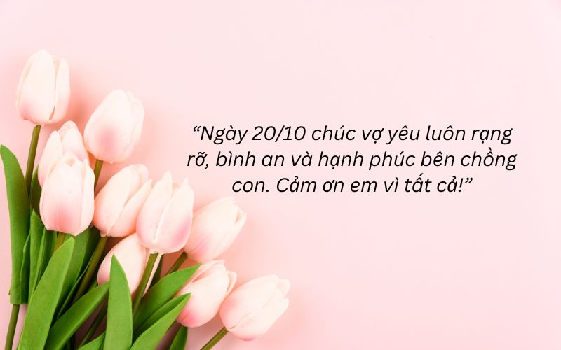 Những lời chúc ý nghĩa ngày Phụ nữ Việt Nam