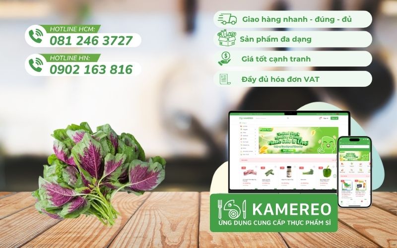 Kamereo - Application providing wholesale amaranth at good prices for F&B businesses